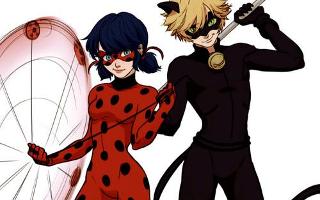 Who's Better: Ladybug or Cat Noir?