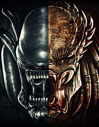 Aliens vs Predator: which do you like more?