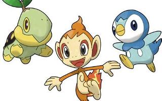 Which Fourth Generation Starter Pokemon?