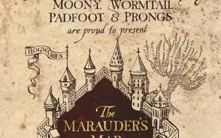 Who's Your Favorite Marauder?