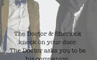 Sherlock or Dr. Who?