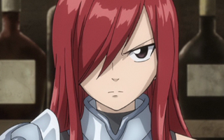 Who would be the best partner for Erza?