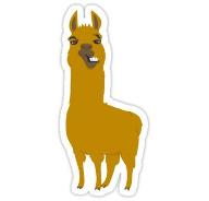 Are llamas cool