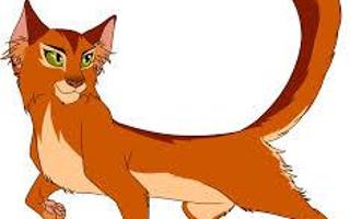 Ashfur and Squirrelflight or Brambleclaw and Squirrelflight?