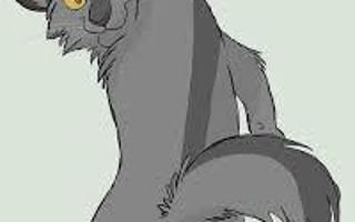 Who is better for Graystripe?