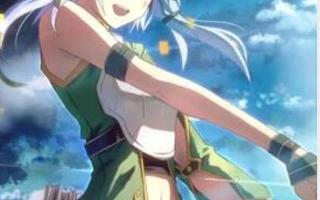 Sword art online Sinon?