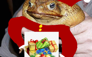 Vote fredrick for Santa and qfeasts icon