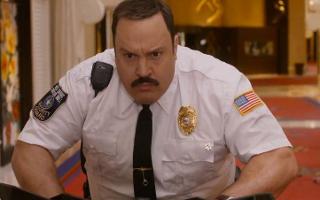 Did you enjoy the movie Paul Blart: Mall Cop 2?