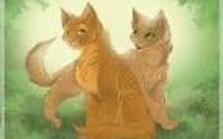 Which Warrior cat couple is better?