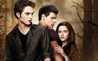 In twilight if you were Bella would you go for Jacob or Edward?