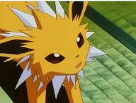 Which Pusheen? Jolteon: Y a pic of confused me?