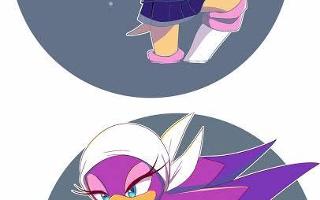 Who's better: Rouge or Wave