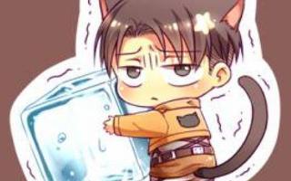 What Levi Ackerman Picutre Is Most Cuter ?