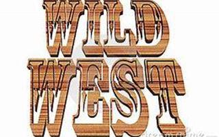 Do You Like TV Westerns?