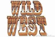 Do You Like TV Westerns?