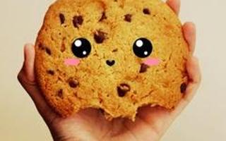 Wich cookie Looks better and tasts better :3?