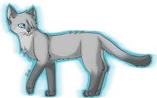 Who is a better match for Dovewing?