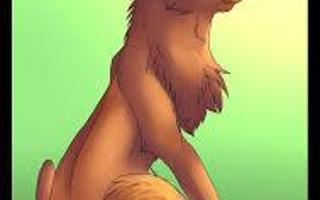 What do you think of Squirrelflight?