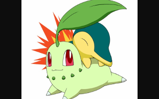 Chikorita or cyndaquil