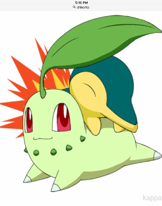 Chikorita or cyndaquil