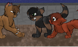 What warrior cat rouge do you like the best?