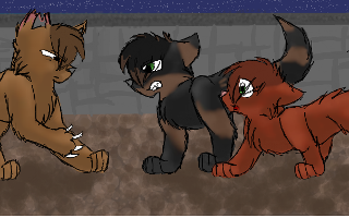 What warrior cat rouge do you like the best?