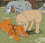 Saddest Warrior cats death during dark forest battle