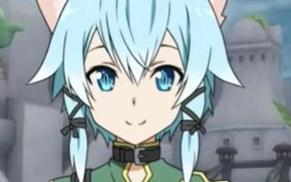 Do you like Sinon from sword art online?