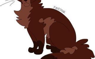 Warrior cats mapleshade or pinestar