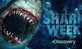 Do You Like Shark Week