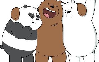 Which we bare bear you like?