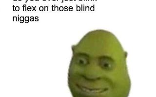 shrek puns?