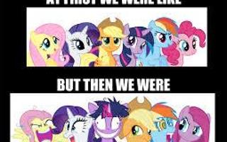 What my little pony breakdown is your fave?