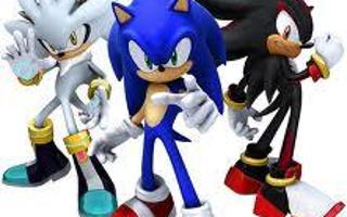 Who Is The Best Hedgehog From Sonic 06