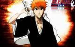 Do you like bleach the anime