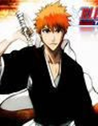 Do you like bleach the anime