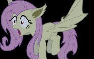 What fluttershy is best?