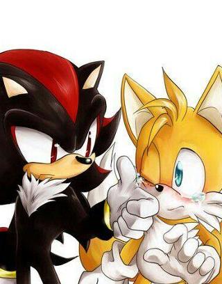 Who is better: Tails or Shadow?