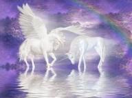 Pegasus Or Unicorn?