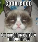 Grumpy Cat