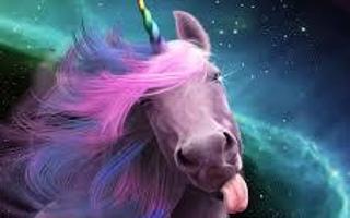 What should a Unicorn look like?