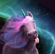 What should a Unicorn look like?