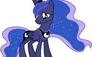 What Princess Luna?