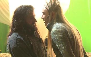 What do you think of Thorinduil (ThorinxThranduil)? From the Hobbit?