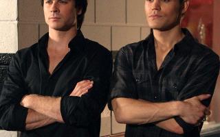 Stefan Salvatore vs Damon Salvatore!