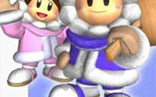 If ice climber had a sequel what system would be the best for it?