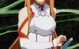 Sword art online Asuna?