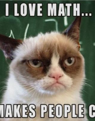 Do you love grumpy cat?