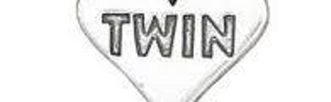 Who are the best twins?