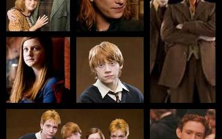 Which Weasley is your favorite?